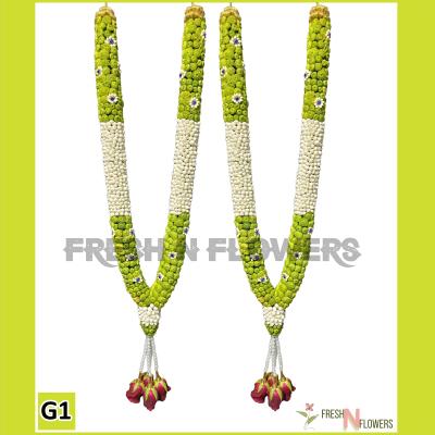 Chrysanthemum  with Jasmine Garland - G1